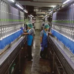 Malaysia Maintains Global Lead in Rubber Glove, Condom Production